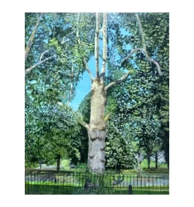 Bethnal Green Park Garden