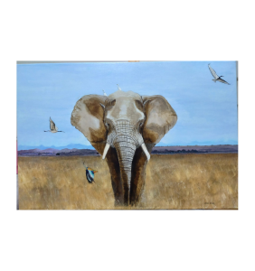 African Elephant Safari