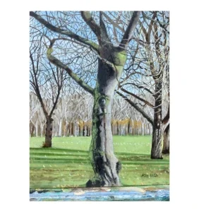 Park Nature Winter Tree