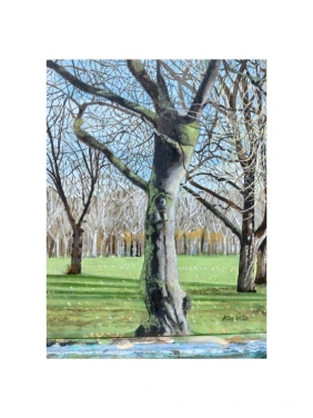 Park Nature Winter Tree