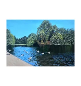 Lake Park With Ducks